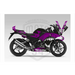 Honda CBR 250R 2014-2018 Bright Shark Design Theme Graphic Kit Bikerz Kingdom
