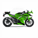 Kawasaki Ninja 300 2012-2016 ZX-3R Theme Graphic Kit Bikerz Kingdom