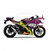 Kawasaki Ninja 300 2012-2016 Rossi Shark Theme Graphic Kit Bikerz Kingdom
